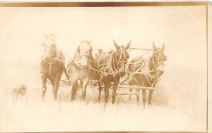 J52/ Interesting RPPC Postcard c1910 Farming Scene Harvest Horses Field 216