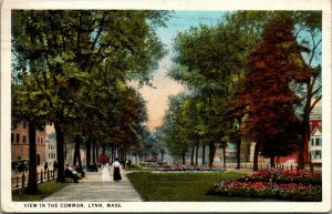 Vtg 1920s View In The Common Lynn Massachusetts MA Postcard