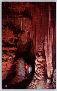 Stanton Missouri~Fountain Of Youth @ Meramec Caverns On US 66~Vintage Postcard