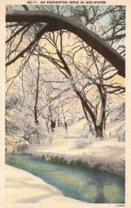 Vintage Postcard 1920's An Enchanting Scene in Mid Winter Trees Stream Path