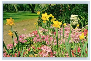 Vintage Descanso Gardens Flowers La Canada, California. Postcard P96E