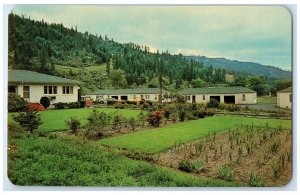 c1960's Riverside Motel Exterior Clearwater River Idaho ID Unposted Postcard