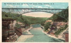 Rochester New York, Genesee River Gorge & Driving Park Ave Bridge, Old Postcard