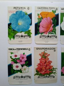 Vintage 1950's Flower Seed Packs EMPTY Lot 12 Petunia Poppy Moon African Daisy