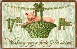 St Patrick's Day, Pig in Shamrock Basket Vintage Postcard W70