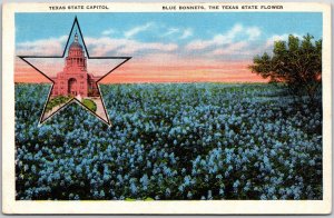 Texas State Capitol Blue Bonnets The Texas State Flowers Sightseeing Postcard