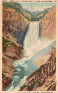 Vintage Postcard 1955 Lower Falls  Waterfalls From Red Rock Yellowstone Park WY
