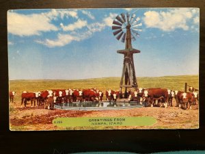 Vintage Postcard 1950's Greetings from Nampa Idaho