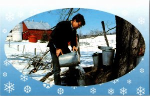 Gathering Sap at Hickens Mountain Mowings Farm, VT Chrome Y14