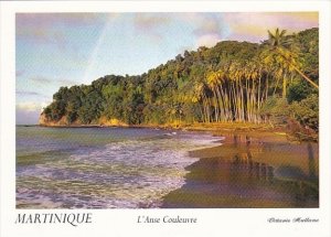 Martinique Le Precheur Anse Couleuvre