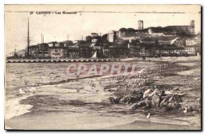 Postcard The Old Cannes Gulls