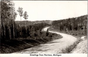 Harrison Michigan RPPC Highway in the North Roadside Scene Postcard Z29