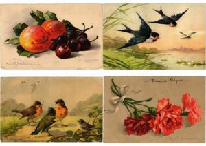 ILLIUSTRATEUR ARTIST SIGNED C.KLEIN FLEUR & FRUIT 44 CPA