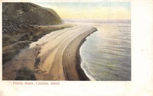 CATALINA ISLAND CALIFORNIA~PEBBLY BEACH~RIEDER #3292 PUBLISHED POSTCARD 1900s