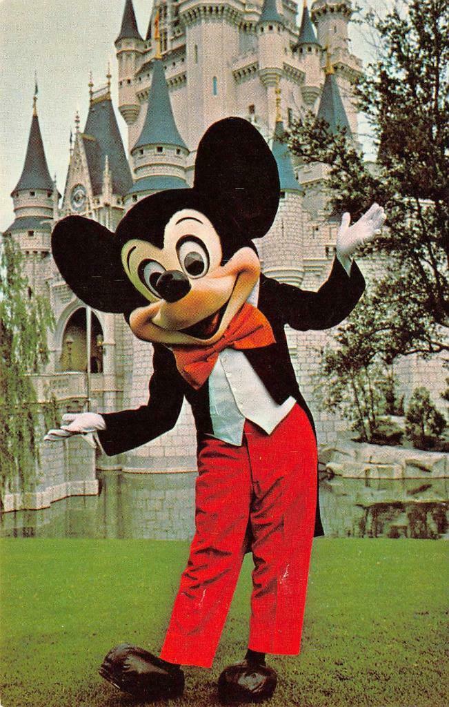 MICKEY MOUSE Cinderella Castle Walt Disney World Vintage Postcard | Topics  - Amusment Parks, Postcard