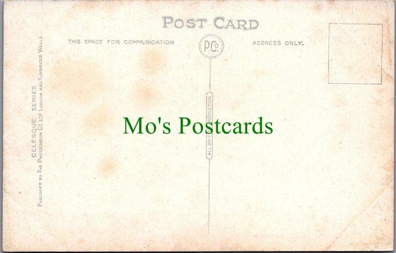 Devon Postcard - Torquay Rock Gardens   SW11783