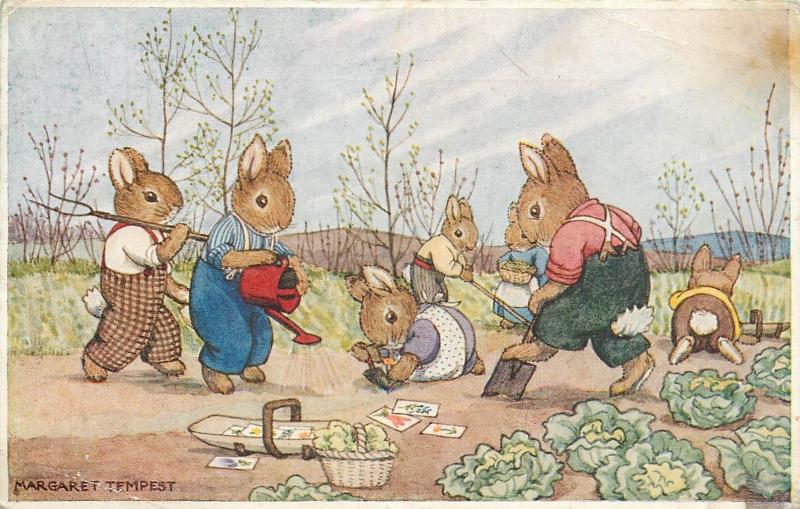 Margaret Tempest Antropomorphic Gardening Rabbits Fantasy Medici Postcard