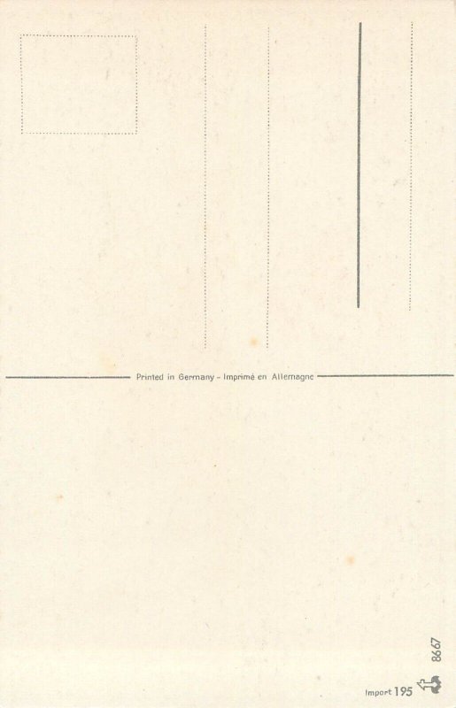 Rose flower vase greetings postcard