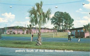 South Carolina South of the Border Tennis Courts, Palm Tree Chrome Postcard