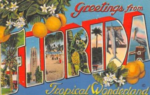 Greetings from Florida Florida, USA Florida Oranges 1957 