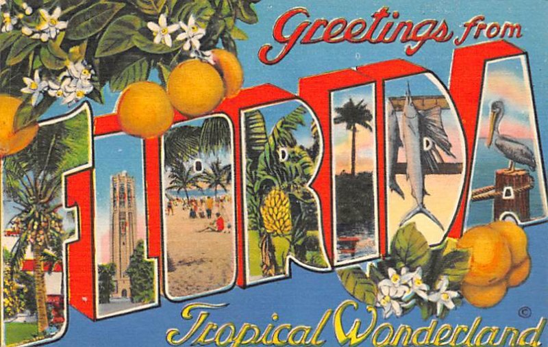 Greetings from Florida Florida, USA Florida Oranges 1957 
