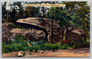 Alligator Rock  Haines Falls  Catskill Mountains  New York   Postcard