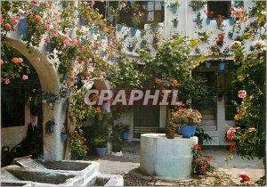 Postcard Modern Marbella (Costa del Sol) potio Tipico Andaluz