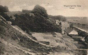 Netherlands Wageningsche Berg Zandgat Vintage Postcard 09.00