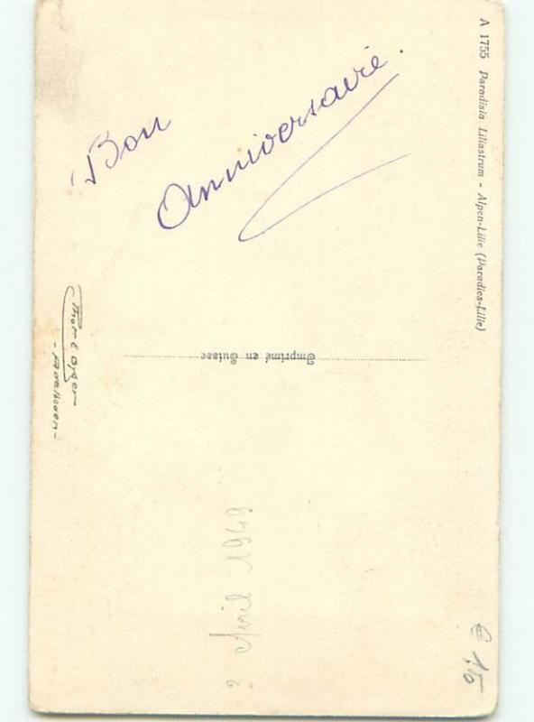 Very Old Foreign Postcard BEAUTIFUL FLOWERS SCENE AA4951