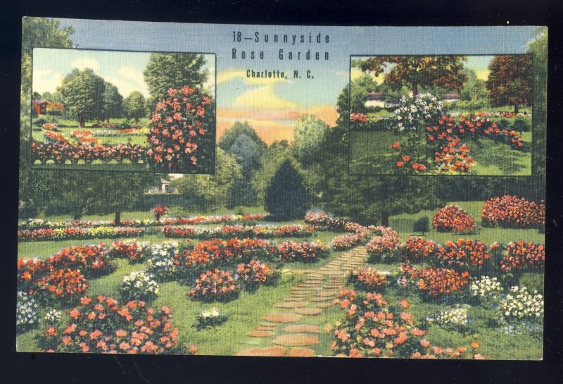 Charlotte, North Carolina/NC Postcard, Sunnyside Rose Garden