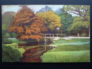 Hampshire ROAD TO THE NEW FOREST Beauty Spots of England c1914 Postcard 3181