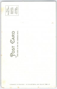 Baltimore Revolutionary Monument Vintage c1905 Postcard No. 633