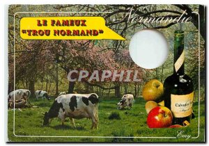 Modern Postcard Le Trou Normand Cow Calvados