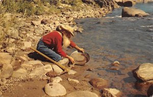 The Old Miner Popular Pastime For Travelers View Postcard Backing 