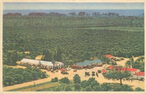 Indian Rocks Roadside Agriculture 1949 Postcard Birdseye Fleming Potter 22-2387