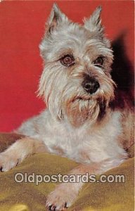 Schnauzer Dog Unused 