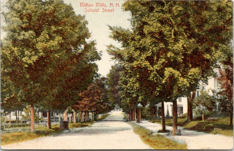 Milton Mills New Hampshire~School Street Homes~Houses Both Sides Road~1907 PC 