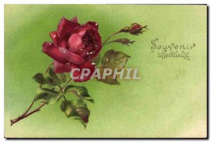 Old Postcard Fantasy Flowers