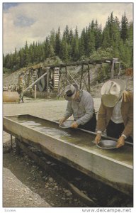 Panning for Gold , BARKERVILLE , B.C. , Canada , 50-60s