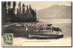 Old Postcard Lake Bourget and Dent du Chat Cows