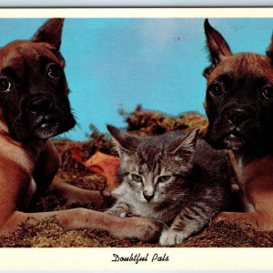 c1961 Marble Rock, IA Greetings from Adorable Boxer Puppy Kitten Cat Dog PC A238