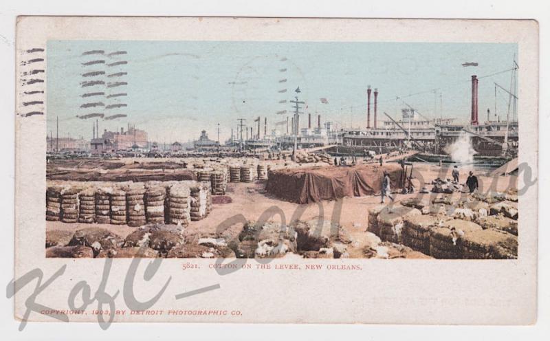 Rare Cotton on New Orleans LA Levee Detroit Photographic Vintage Postcard A11