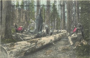 Postcard C-1910 Washington Tacoma Logging Lumber Prince #1897 WA24-1900