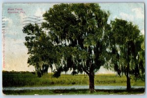 1910 Houston Texas TX Vintage Postcard Moss Trees Field Trees Exterior Posted