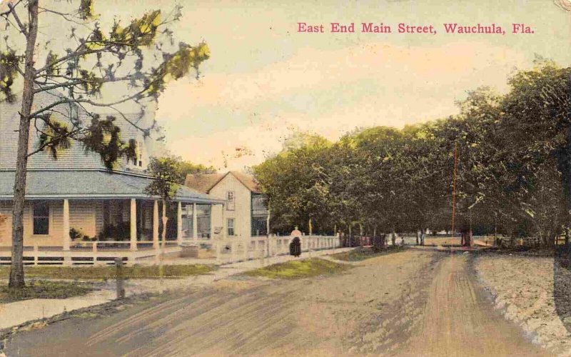 East End Main Street Wauchula Florida 1910c postcard