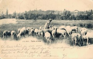 Switzerland Table d´Hôte Sheep Herder 03.18