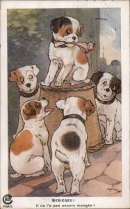 Cute Puppy Dogs Jealous of Dog w/ Bone AE Kennedy c1915 Postcard