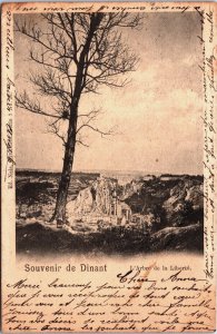 Belgium Souvenir de Dinant L'Arbre de la Liberté Vintage Postcard C148