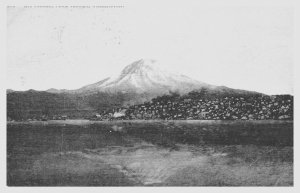 Vintage Mt. Tacoma Washington Bay View Postcard - A7 