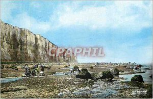 Old Post Card Treport (Seine Maritime) La Plage Maree Basse